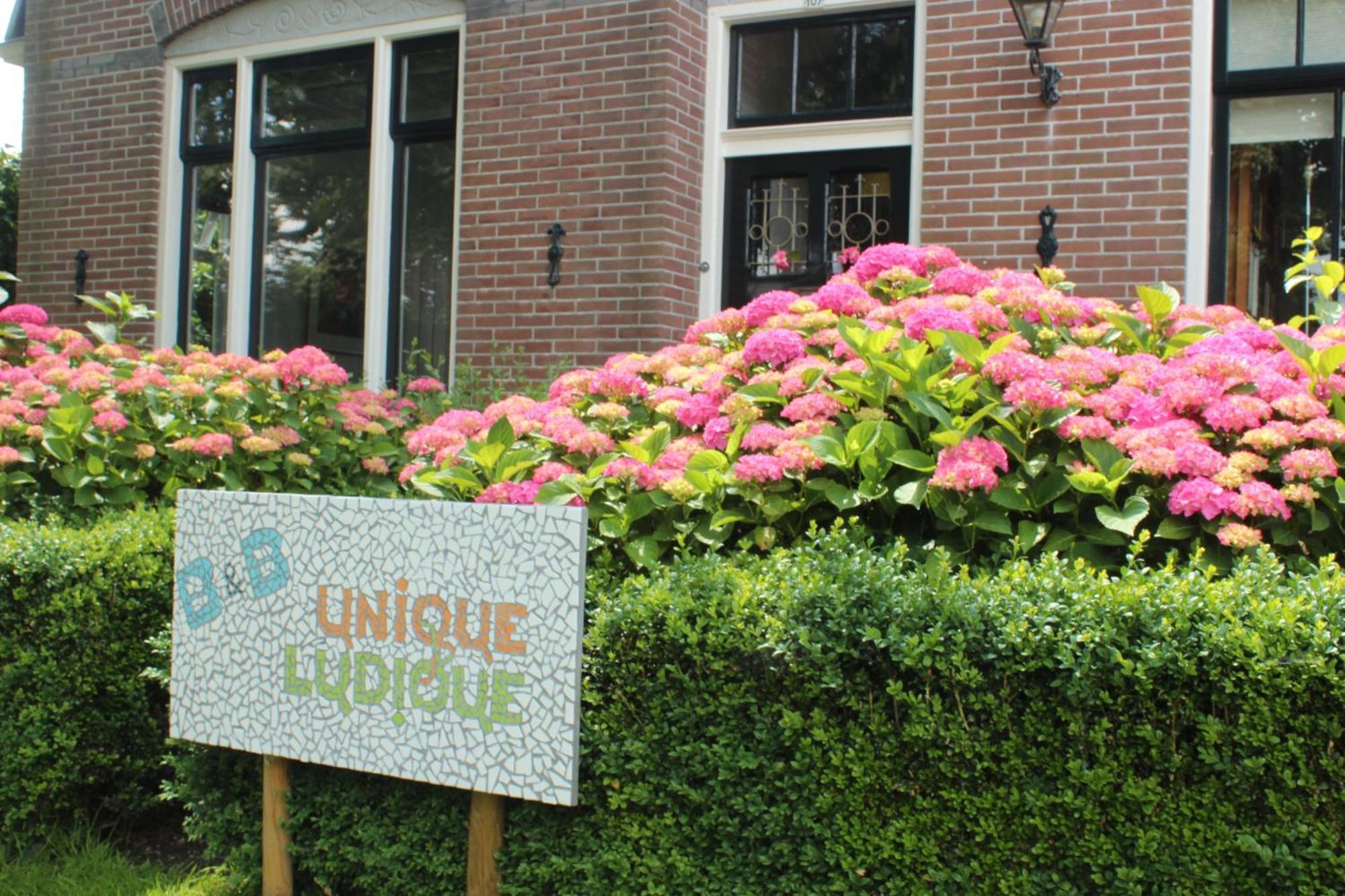 Uniqueludique Bed and Breakfast Middenbeemster Exteriör bild
